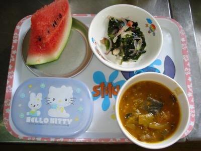 手作りカレー☆酢の物☆スイカ