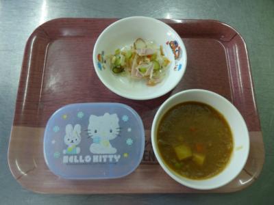手作りカレー☆酢の物