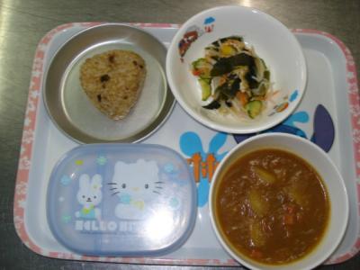 手作りカレー☆酢の物★玄米おにぎり