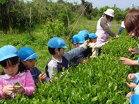 あおぐみには長い時間頑張ってもらいました