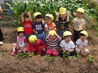 大きなお芋が出来ますように