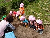 苗を植える準備をしています