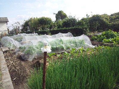 いちき串木野市 浜ヶ城保育園